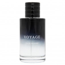 Arqus Voyage парфумована вода 100мл