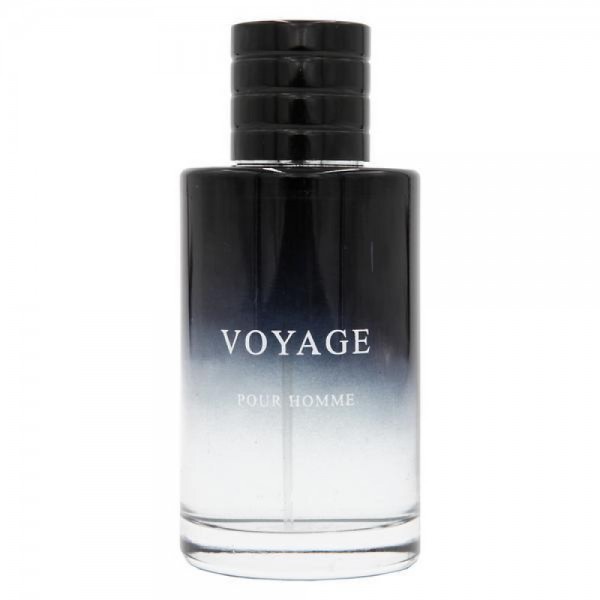 Arqus Voyage 100мл - парфумована вода для справжніх мандрівників