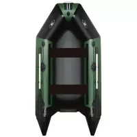 Надувний човен AquaStar Dingi-Boat D-249-FSD (зелений)