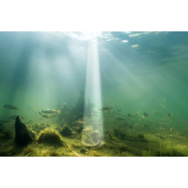 Эхолот Deeper Smart Sonar Chirp+ 4