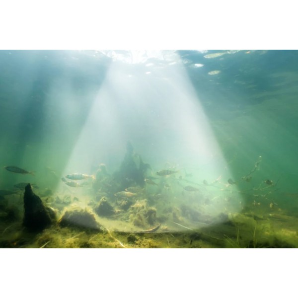 Эхолот Deeper Smart Sonar Chirp+ 4