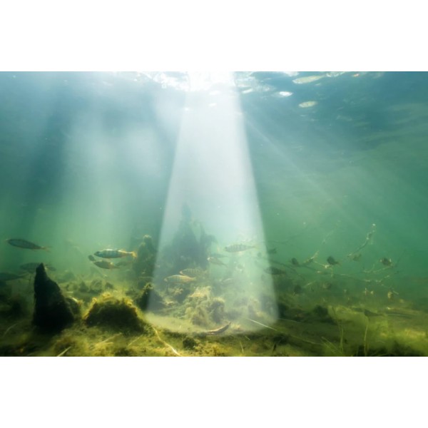 Эхолот Deeper Smart Sonar Chirp+ 4