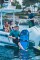 Ниборд Jobe Sentry Kneeboard (252721001)