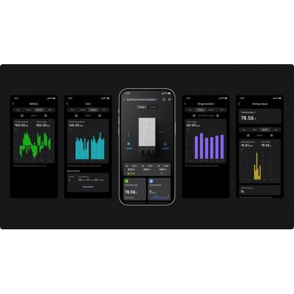 Панель управления EcoFlow Smart Home Panel 2