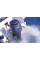 Лодочный мотор Yamaha F225BETX