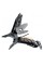 Мультитул Leatherman Mut Black Molle 850022N