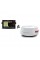 Радар Raymarine Quantum Q24D Doppler 18