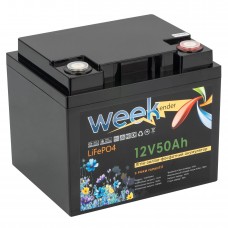 Аккумулятор Weekender LiFeP04 (FT1250)