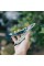 Мультитул Leatherman Skeletool CX Verdant (833123)
