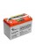 Аккумулятор гелевый Weekender с дисплеем 100Ah 12V+LVD (12V100AH DC-LVD)