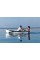 Пластиковая прогулочная гребная лодка Grand Regatta RG310