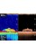 Эхолот Raymarine Dragonfly 5 DVS, CHIRP Downvision, CHIRP CPT-DVS (E70306)
