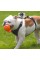 Крепление на грудь GoPro Junior Chesty (Chest Harness) (ACHMJ-301)