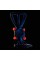Эхолот Deeper Smart Sonar CHIRP+ 2 Trophy Bundle 2022