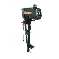 Лодковий мотор Yamabisi T 2.5 BMS