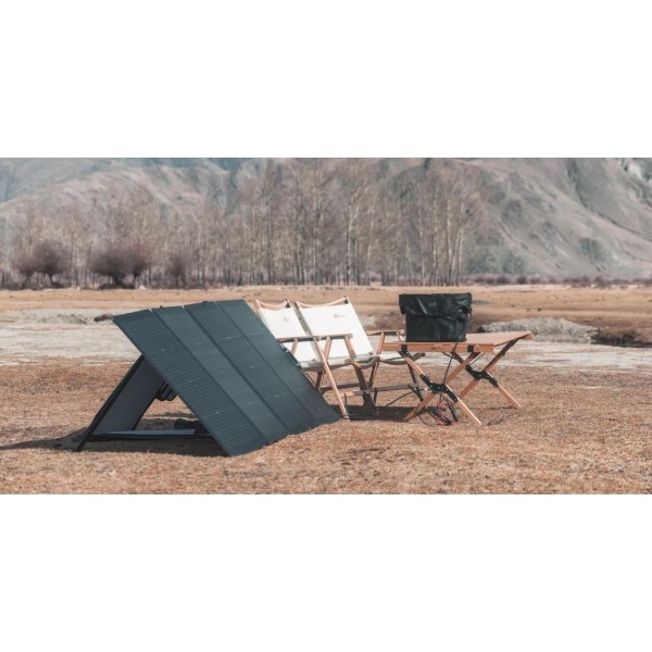Комплект EcoFlow DELTA Max(1600) + 220W Solar Panel