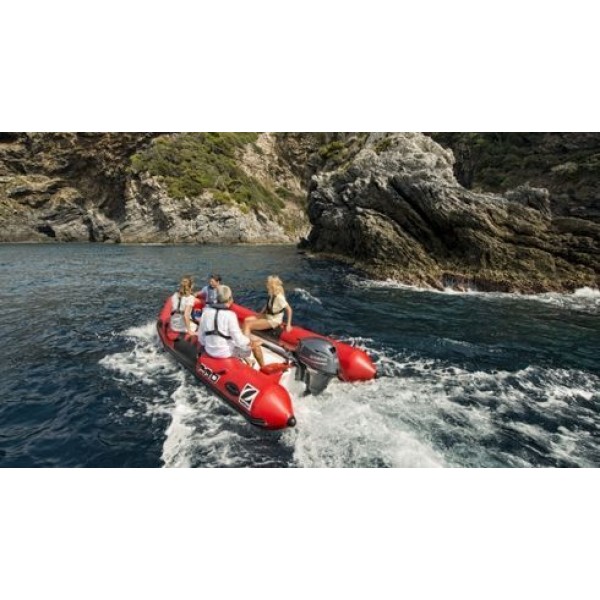 Лодочный мотор Yamaha F20BMHS