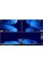 Lowrance StructureScan 3D (000-12395-001)