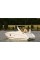 Пластиковый катер Sea Ray 280 Sundancer