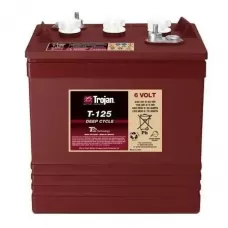 Аккумулятор Trojan T125+
