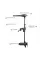 Лодочный электромотор Haswing Osapian 55 Maximizer