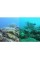 Фильтр для камеры GoPro Hero3+Red (P1001)