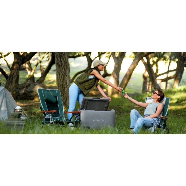 Холодильник с аккумулятором EcoFlow Glacier Classic 55 л