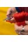 Мультитул Leatherman Micra Cherry (833040)