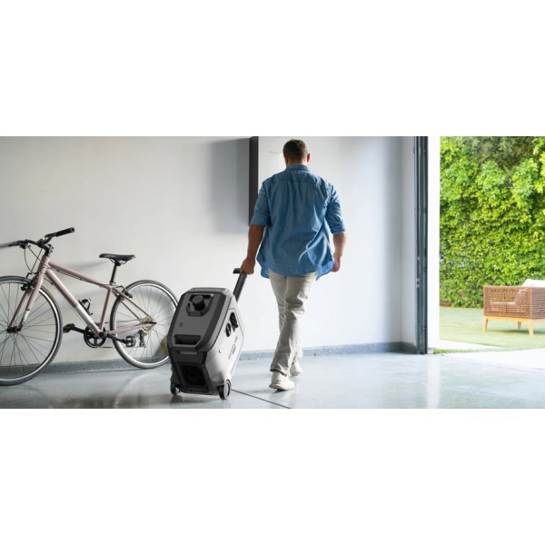 Генератор инверторный двухтопливный EcoFlow Smart Generator 4000 Dual Fuel