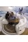 Моторная яхта Sea Ray 580 Sundancer