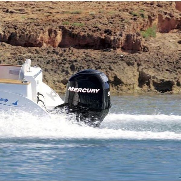 Лодочный мотор Mercury F80 ELPT EFI