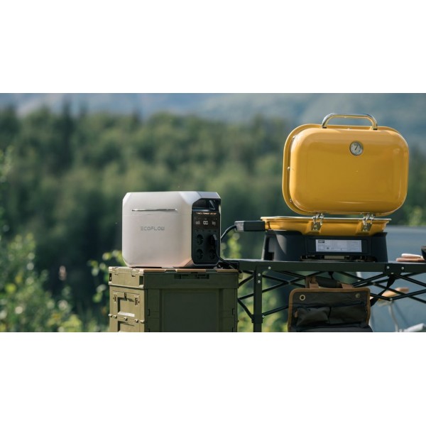 Зарядная станция EcoFlow DELTA 3 Plus