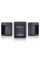 Зарядное устройство для подзарядки двух аккумуляторов GoPro Dual Battery Charger (AHBBP-301)
