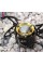 Мультитопливная горелка Optimus Polaris Optifuel (8019229)
