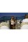 Пластиковый катер Sea Ray 235 Weekender
