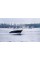 Пластиковый катер Sea Ray 235 Weekender