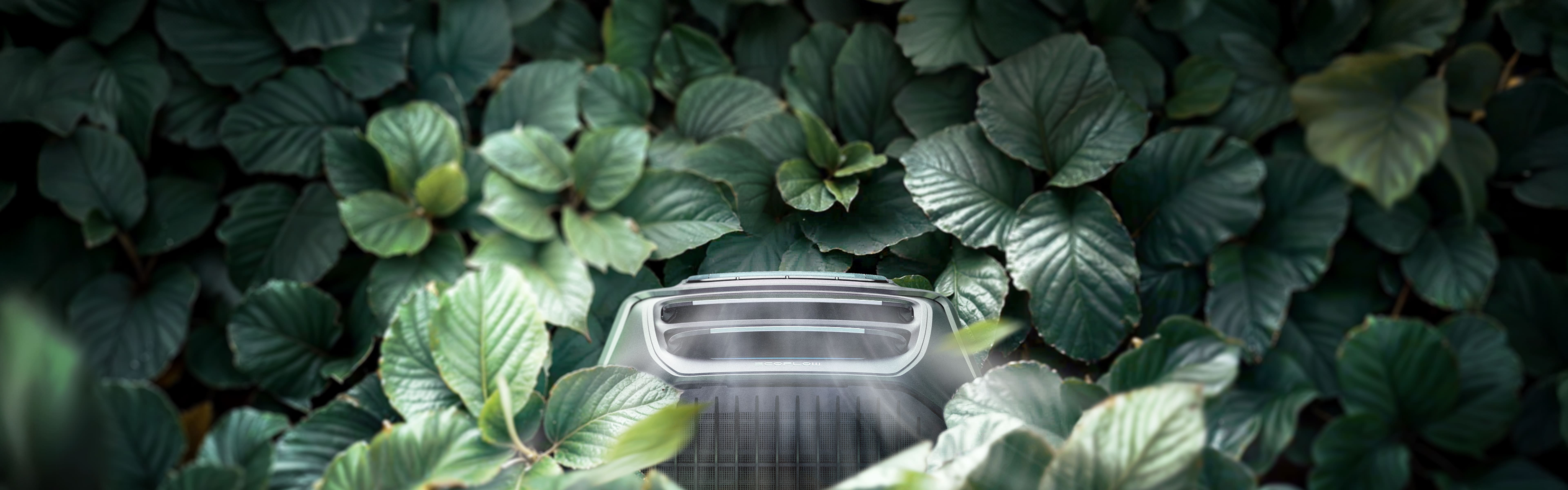 EcoFlow Wave 3